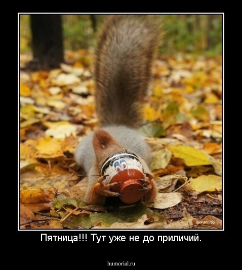 Пятница!!! Тут уже не до приличий.