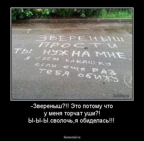 -Звереныш?!! Это потому что у меня торчат уши?! Ы-Ы-Ы.сволочь,я обиделась!!!
