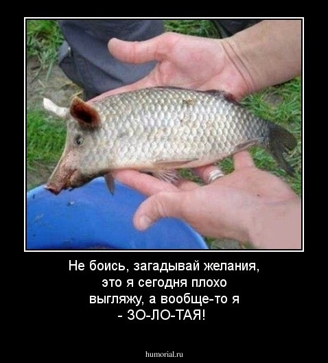 Не боись, загадывай желания, это я сегодня плохо выгляжу, а вообще-то я - ЗО-ЛО-ТАЯ!