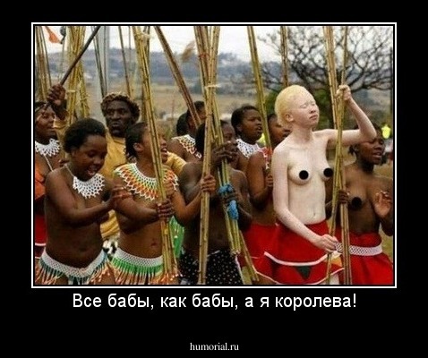 Все бабы, как бабы, а я королева!