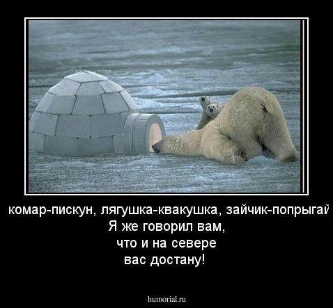 Так... комар-пискун, лягушка-квакушка, зайчик-попрыгайчик... Я же говорил вам, что и на севере вас достану!