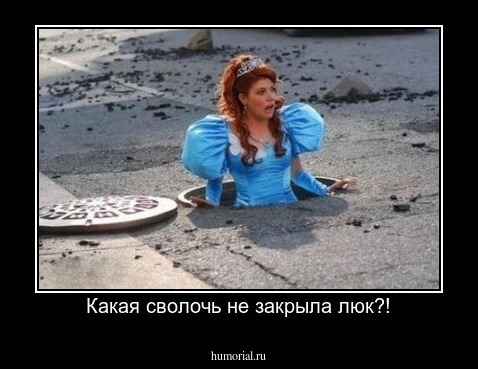 Какая сволочь не закрыла люк?!