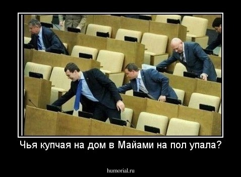 Чья купчая на дом в Майами на пол упала?