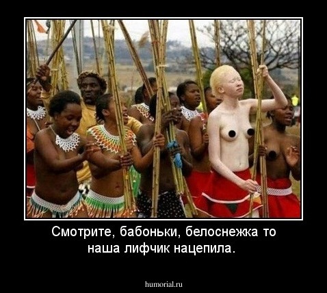 Смотрите, бабоньки, белоснежка то наша лифчик нацепила.
