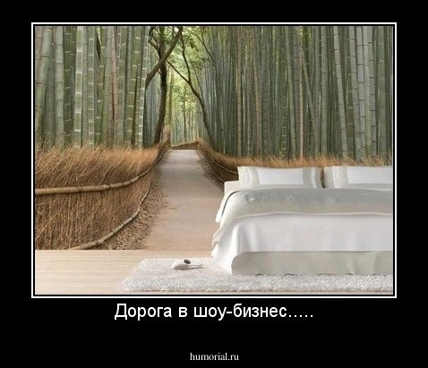 Дорога в шоу-бизнес.....