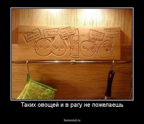 Таких овощей и в рагу не пожелаешь