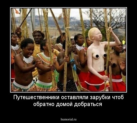 Путешественники оставляли зарубки чтоб обратно домой добраться