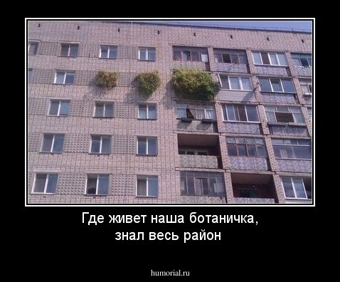 Где живет наша ботаничка, знал весь район