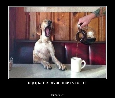 с утра не выспался что то 