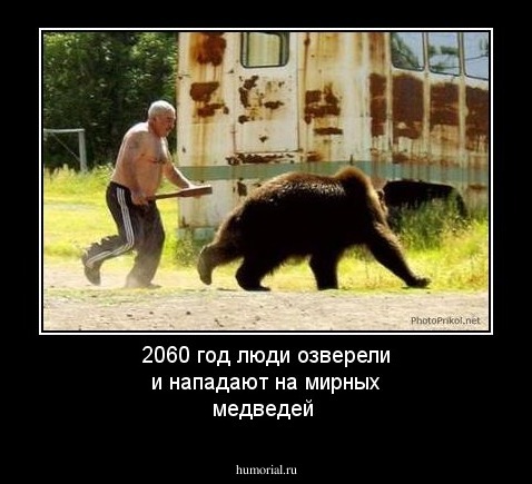 2060 год люди озверели и нападают на мирных медведей