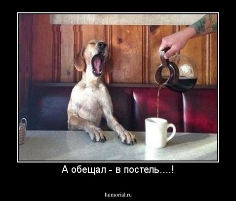 А обещал - в постель....!