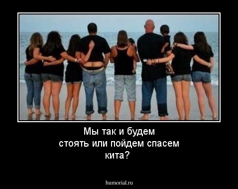 Мы так и будем стоять или пойдем спасем кита? 