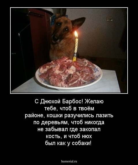 С Днюхой Барбос! Желаю тебе, чтоб в твоём районе, кошки разучились лазить по деревьям, чтоб никогда не забывал где закопал кость, и чтоб нюх был как у собаки!