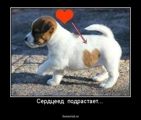 Сердцеед  подрастает... 