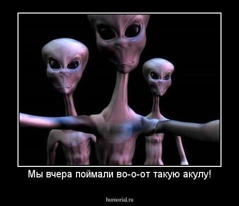Мы вчера поймали во-о-от такую акулу!