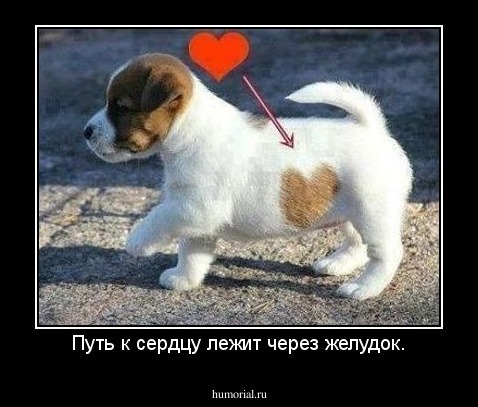 Путь к сердцу лежит через желудок.