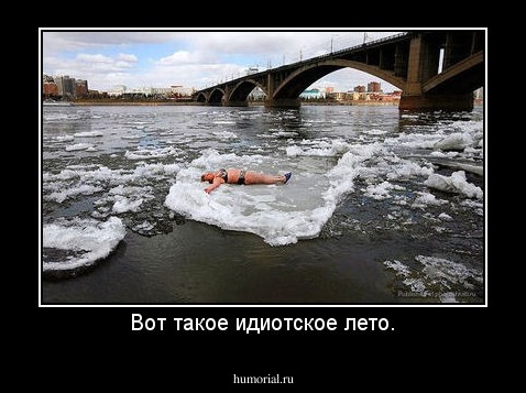 Вот такое идиотское лето.