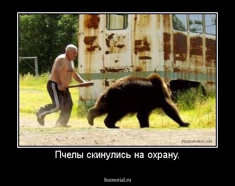 Пчелы скинулись на охрану.