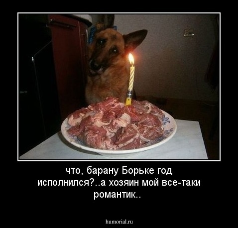 что, барану Борьке год исполнился?..а  хозяин мой  все-таки романтик..