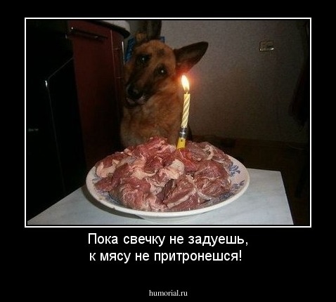 Пока свечку не задуешь, к мясу не притронешся!