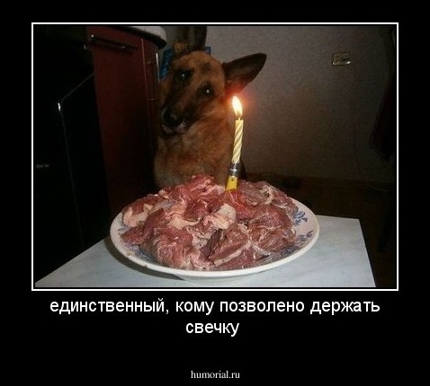 единственный, кому позволено держать свечку