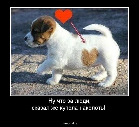 Ну что за люди, сказал же купола наколоть!