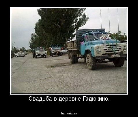 Свадьба в деревне Гадюкино.