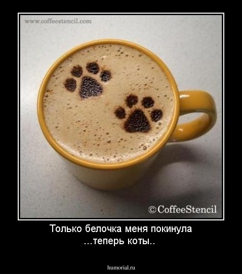 Только белочка меня покинула ...теперь коты..