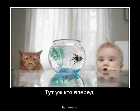 Тут уж кто вперед.