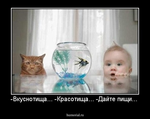 -Вкуснотища...
-Красотища...
-Дайте пищи...