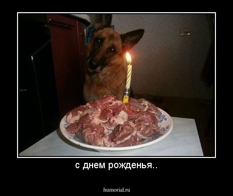 с днем рожденья..