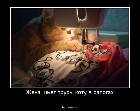 Жена шьет трусы коту в сапогах