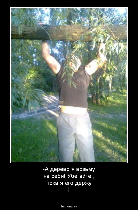-А дерево я возьму на себя! Убегайте , пока я его держу !