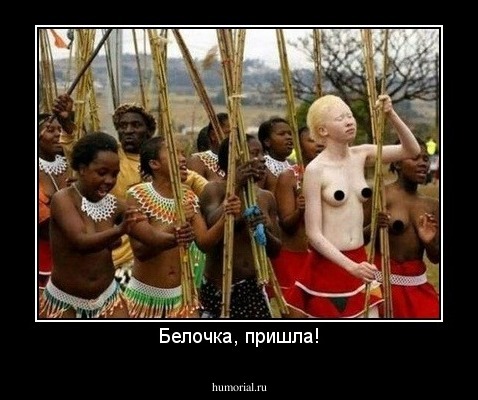Белочка, пришла!