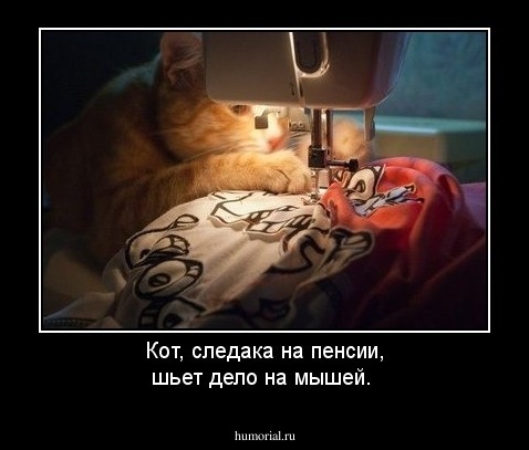 Кот, следака на пенсии, шьет дело на мышей.