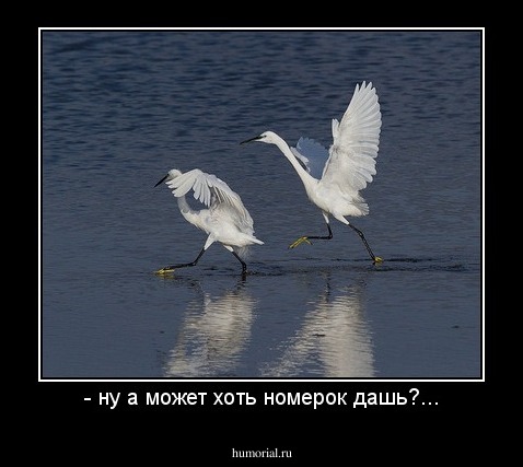- ну а может хоть номерок дашь?...