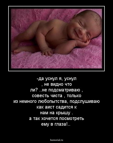 -да уснул я, уснул , не видно что ли? ..не подсматриваю , совесть чиста , только из  немного любопытства, подслушиваю как  аист садится к нам на крышу . а так хочется посмотреть ему в глаза!..