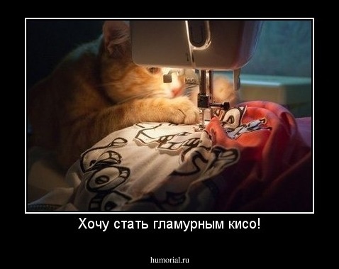 Хочу стать гламурным кисо!