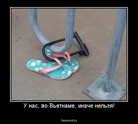 У нас, во Вьетнаме, иначе нельзя!