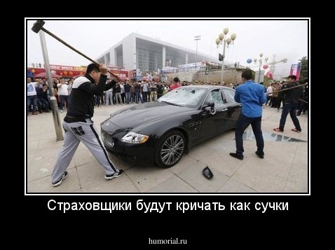 Страховщики будут кричать как сучки