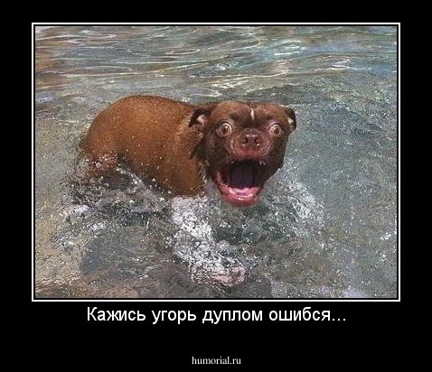 Кажись угорь дуплом ошибся...