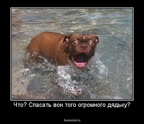 Что? Спасать вон того огромного дядьку?