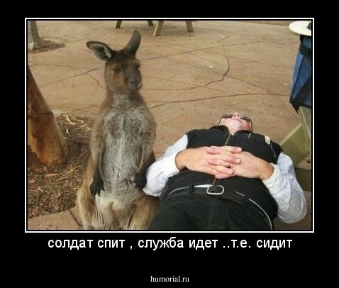 солдат спит , служба идет ..т.е. сидит