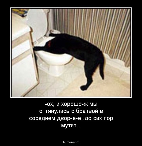 -ох, и хорошо-ж мы оттянулись с братвой в соседнем двор-е-е..до сих пор мутит..