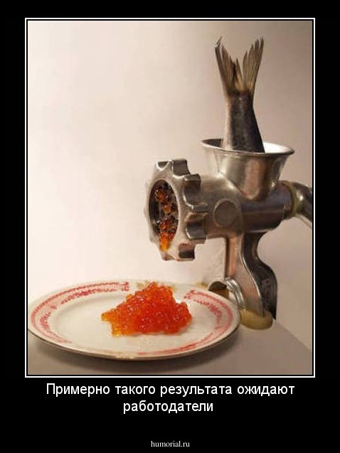 Примерно такого результата ожидают работодатели