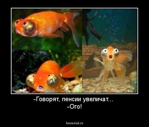 -Говорят, пенсии увеличат... 
-Ого!