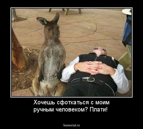Хочешь сфоткаться с моим ручным человеком? Плати!