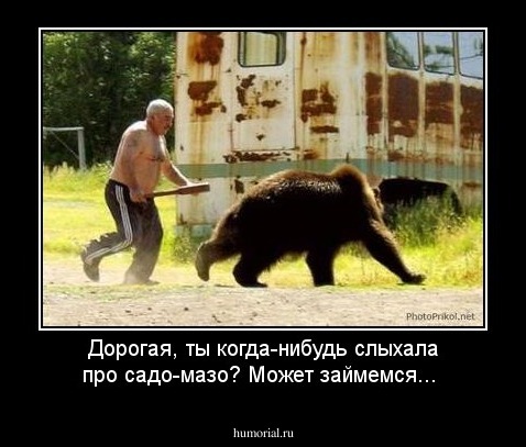 Дорогая, ты когда-нибудь слыхала про садо-мазо? Может займемся...