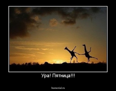 Ура! Пятница!!!