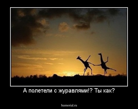 А полетели с журавлями!? Ты как?